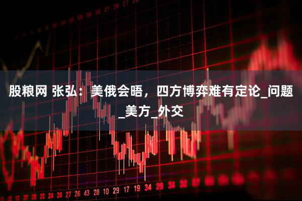 股粮网 张弘：美俄会晤，四方博弈难有定论_问题_美方_外交